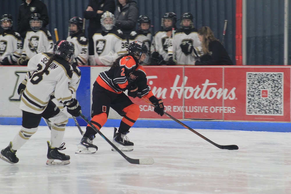 Bomber chases the play along the boards.