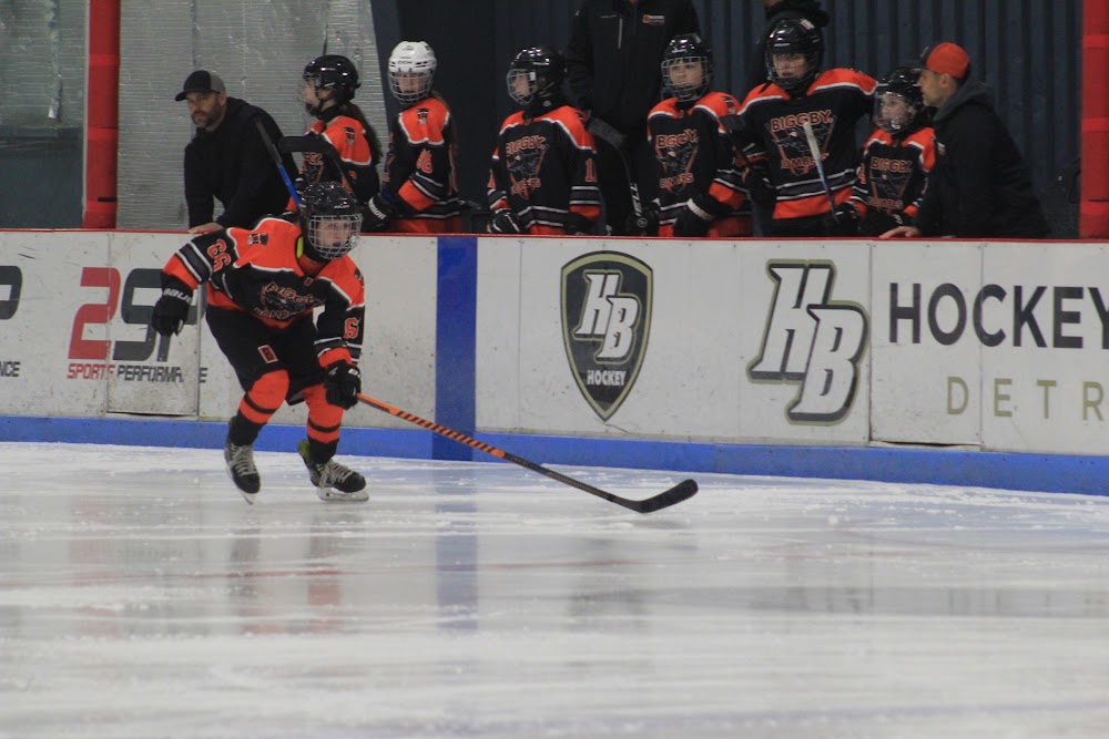Our bench watches a Bomber carry it up the wall at HB's home ice.