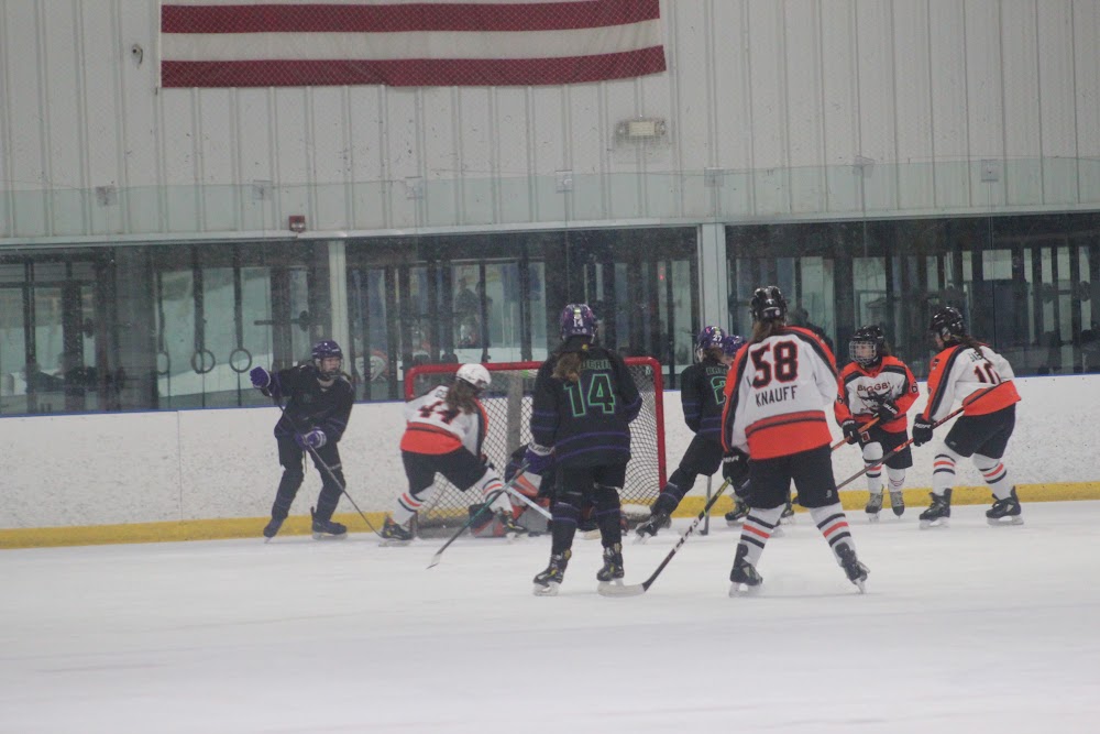 Midland Hornets