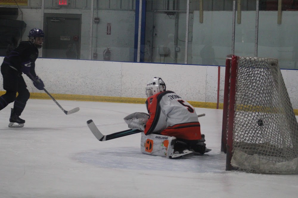 Midland Hornets