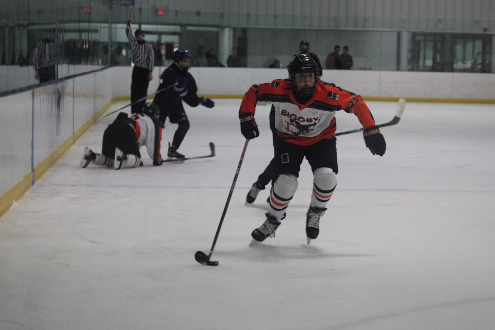 Midland Hornets