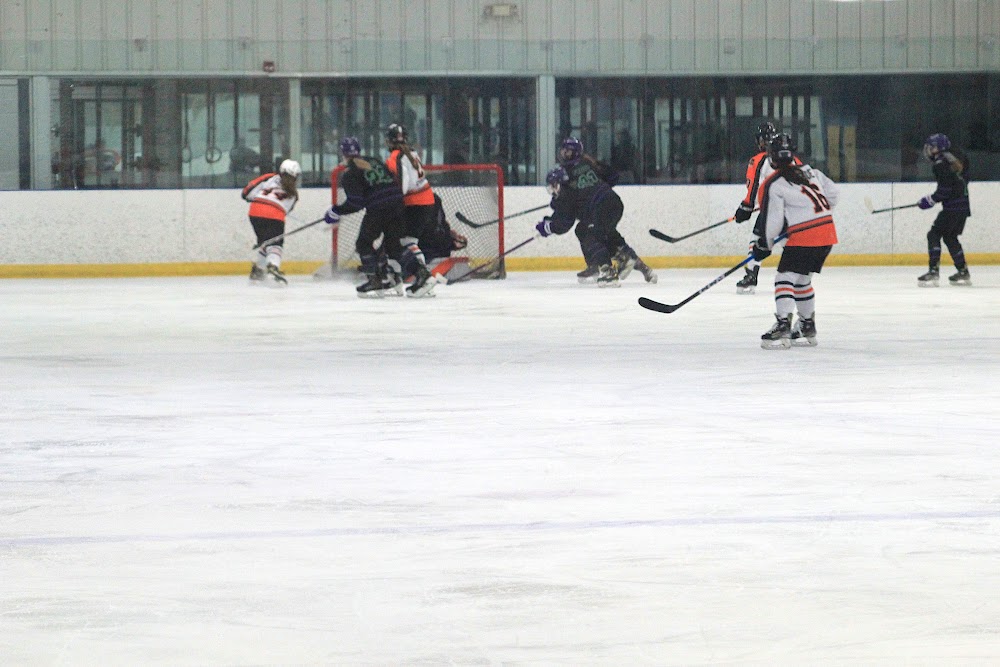 Midland Hornets
