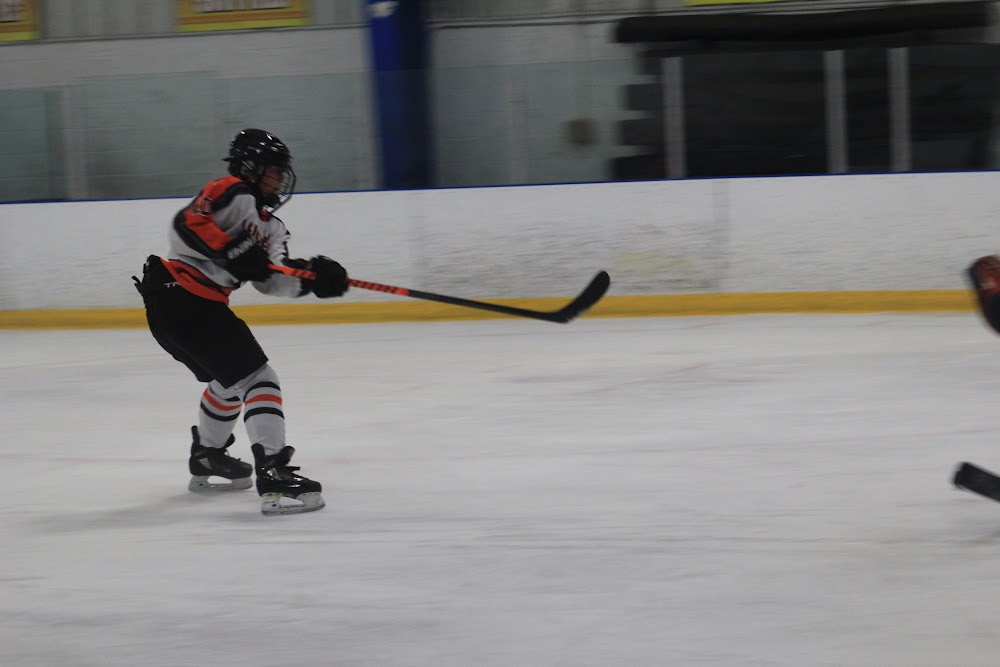 Midland Hornets